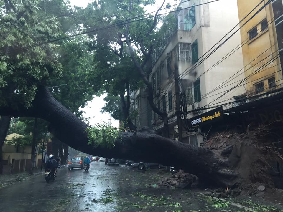 Hà Nội nghiêng ngả, cây đổ phố ngập vì bão ảnh 11